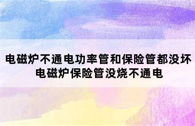 电磁炉不通电功率管和保险管都没坏 电磁炉保险管没烧不通电